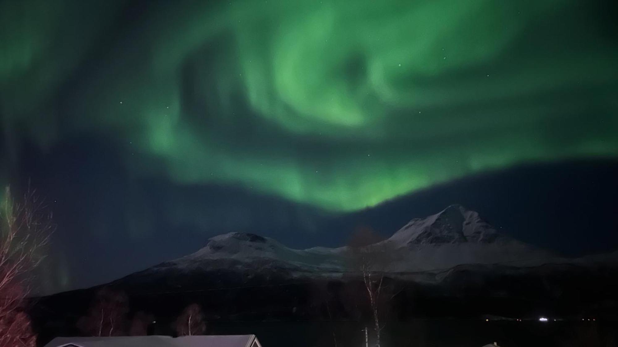 Artic Dream Lägenhet Gratangen Exteriör bild