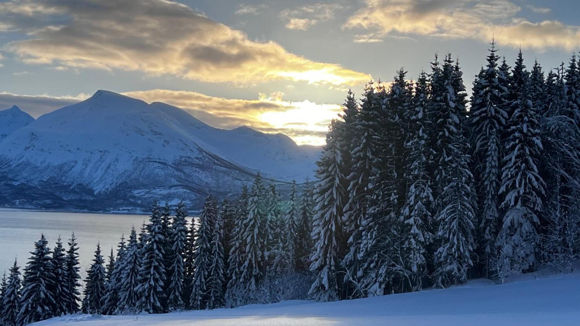 Artic Dream Lägenhet Gratangen Exteriör bild